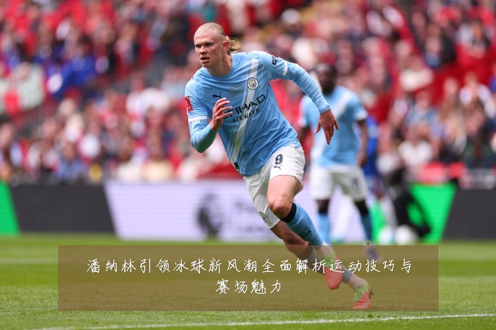 潘纳林引领冰球新风潮全面解析运动技巧与赛场魅力